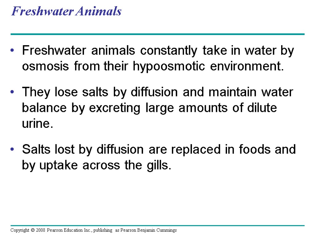 Freshwater Animals Freshwater animals constantly take in water by osmosis from their hypoosmotic environment.